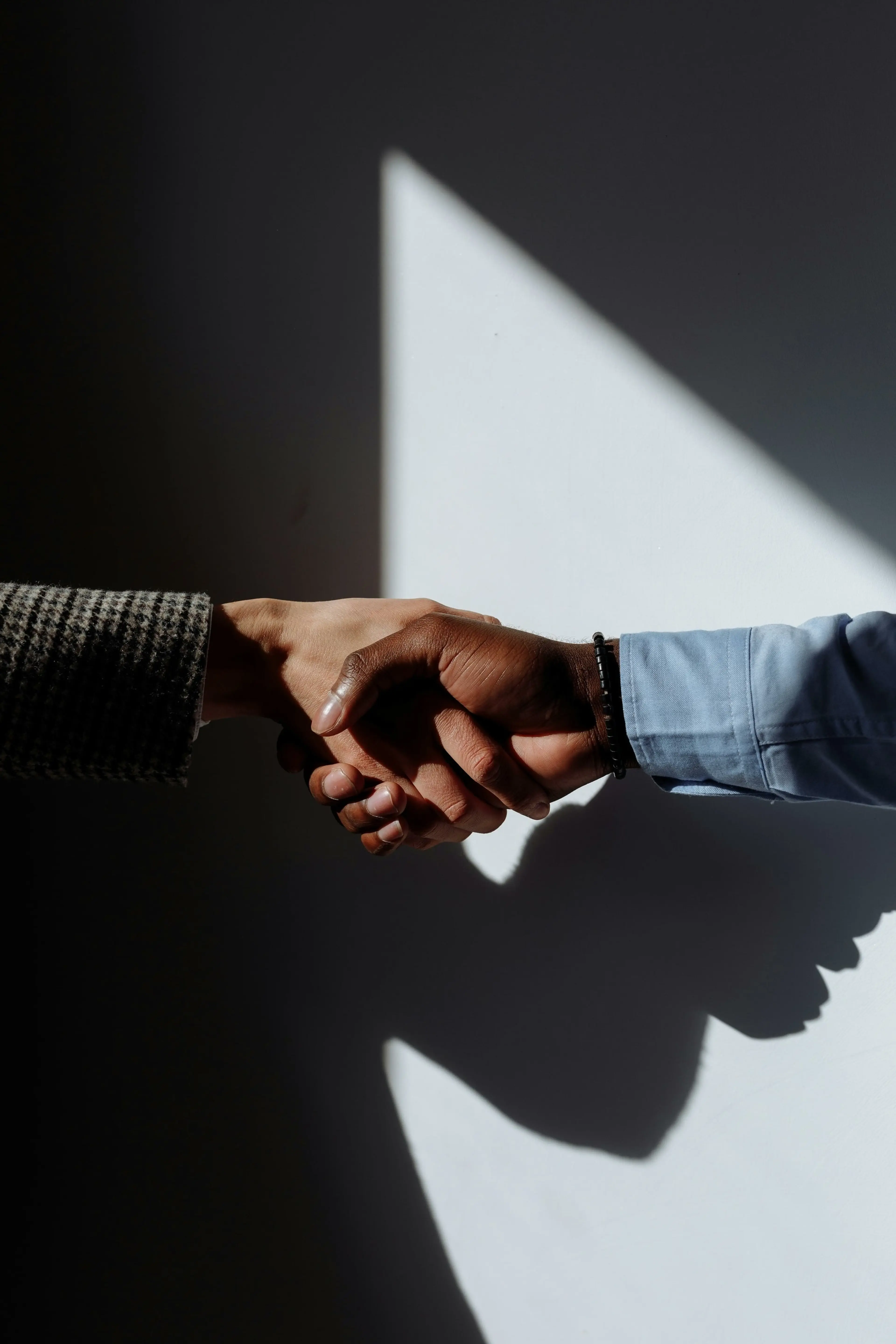 Two people shaking hands